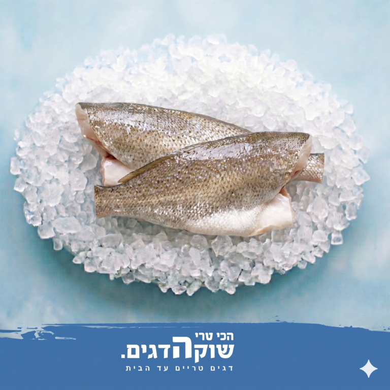 מוסר ים