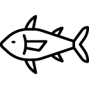 דגים טריים