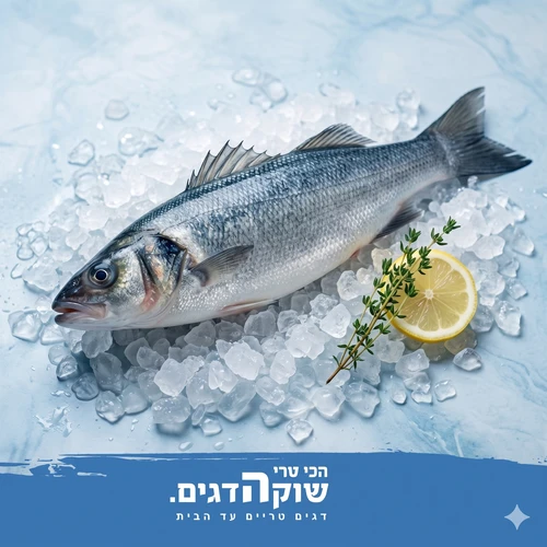 סי בס